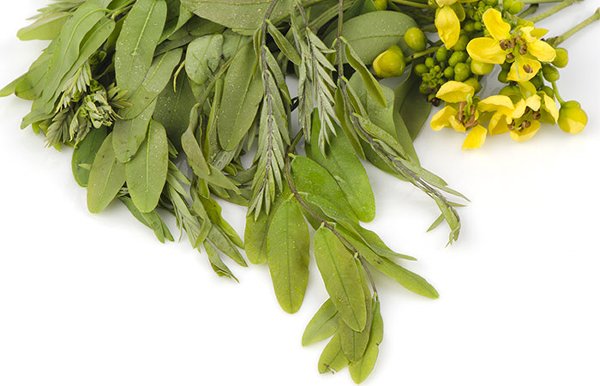 Side Effects Of Using Senna Leaves